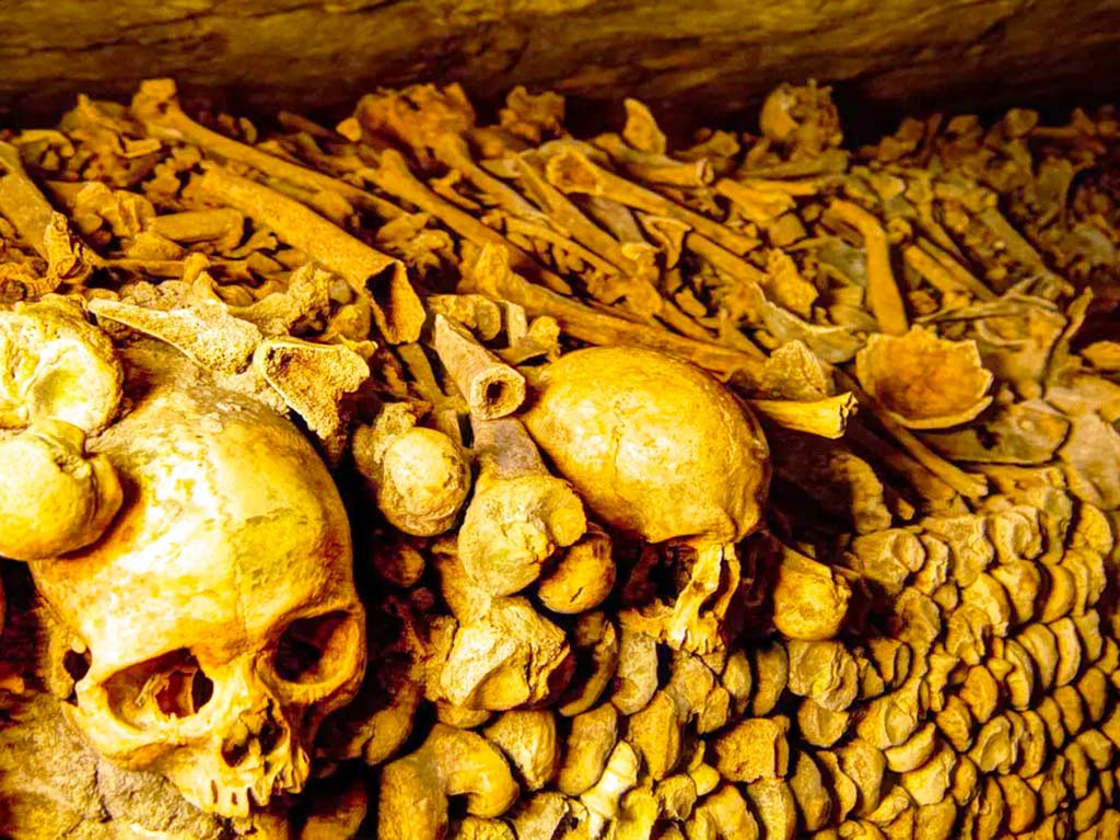 catacombs paris tour